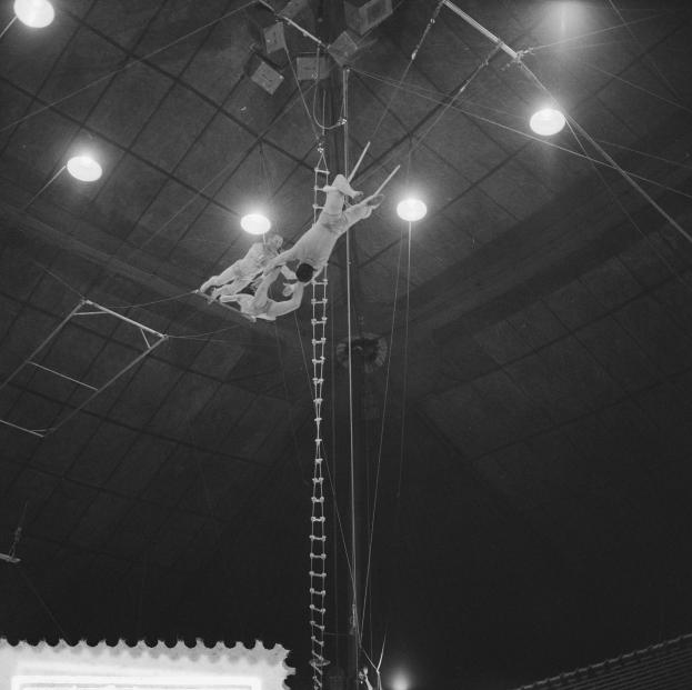 Zwei Akrobaten auf einem Trapez in einem Zirkus, mit Zuschauern unten und Deckenlampen.