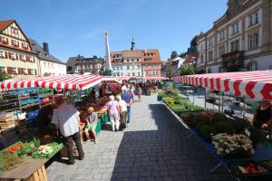 Ein belebter Markt im alten Stadtzentrum von Heidelberg mit Menschen, die spazieren gehen, auf Bänken sitzen und in der Nähe von Zelten stehen, umgeben von Gemüsekörben, Gebäuden, Bäumen und einem klaren blauen Himmel.