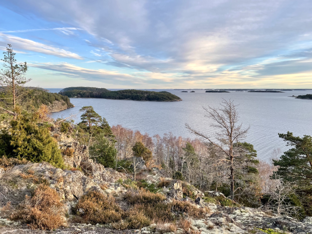 Eine Panoramaussicht von einem Hügel aus über einen See, mit Bäumen, Pflanzen und Felsen im Vordergrund und einem bewölkten Himmel im Hintergrund.
