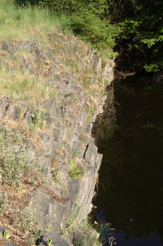 Ein kleiner, klarer Bach fließt durch eine üppige, grüne Flussuferlinie mit Bäumen, dessen stilles Wasser die umliegende Vegetation spiegelt.