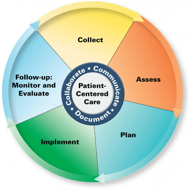 Kreisförmige Diagramm mit der Überschrift 'patientenorientierte Pflege' mit vier farbigen Abschnitten, jeweils mit einer Pflegedarstellung beschriftet, auf einem weißen Hintergrund.