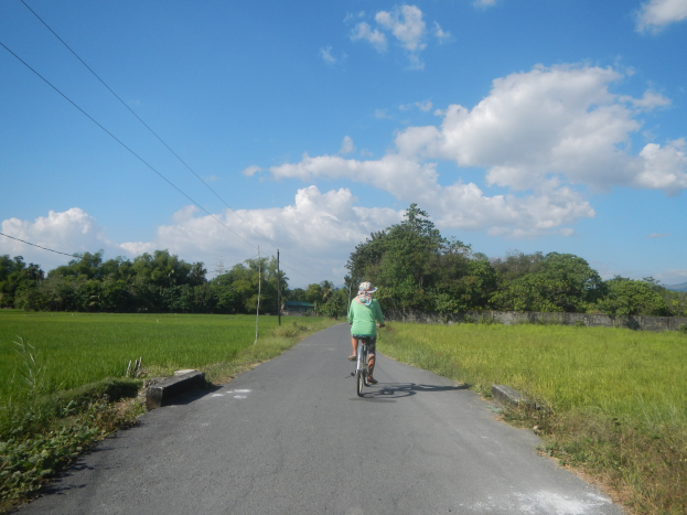 Ein Radfahrer mit Helm fährt auf einer Straße, die von Grünflächen gesäumt ist, mit Bäumen, Strommasten und einer Wand im Hintergrund bei bewölktem Himmel.