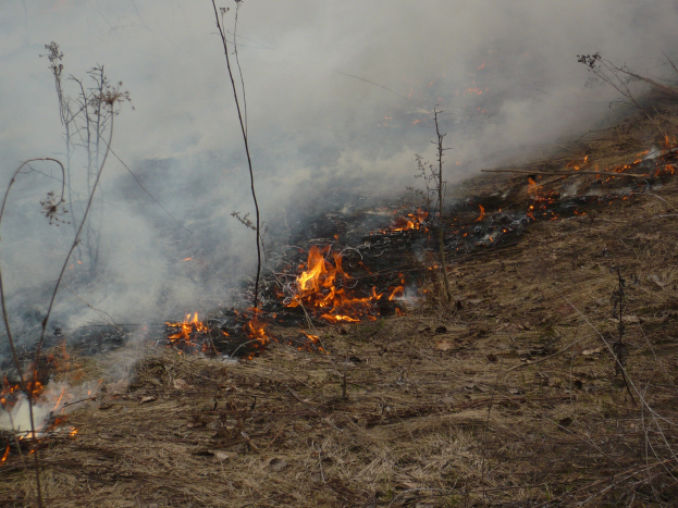 Verschreibung Feuer, das in einem Grasfeld mit Rauch in den Himmel steigt.