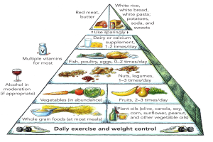 Ein Diagramm der Nahrungsmittelpyramide mit beschrifteten Abschnitten für Obst, Gemüse, Getränke und andere Nahrungsmittelgruppen.