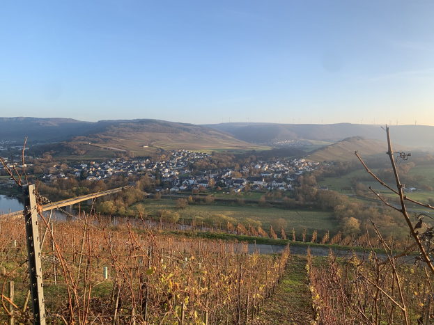 Eine malerische Aussicht auf das Rheintal von einem Hügel aus, mit grünem Laub, Häusern und einer Brücke, die den Fluss überspannt, vor einem blauen Himmel mit Hügeln im Hintergrund.