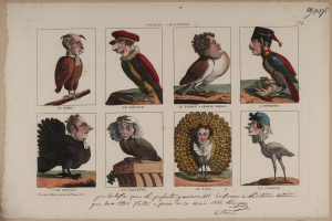 Ein Buchumschlag mit verschiedenen Vögeln in unterschiedlichen Größen und Farben, Menschen in verschiedenen Kostümen und Text.