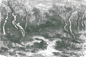 Schwarz-weiß-Illustration eines Fuchses in einem Waldgebiet mit Bäumen und Pflanzen, betitelt "Der Fuchs und die Hunde" unten.
